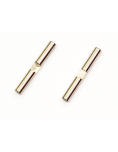 DIFF PIN 10T (2U)