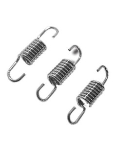 SPRING FOR .21 MANIFOLD/PIPE (3 PCS)