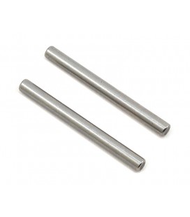 REAR ARM PIVOT PIN (2U)