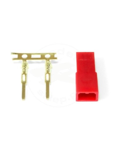 BEC SOCKET