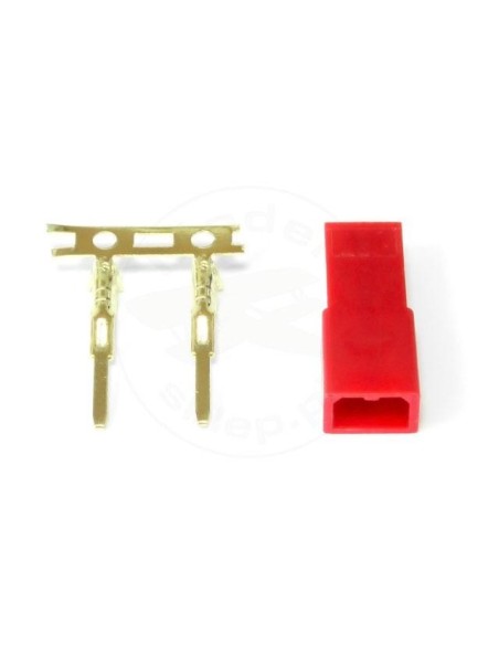 BEC SOCKET