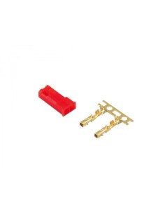 BEC PLUG