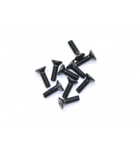 SCREW ALLEN COUNTERSUNK M3x10 (10U)