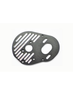 MOTOR PLATE SRX2 RM