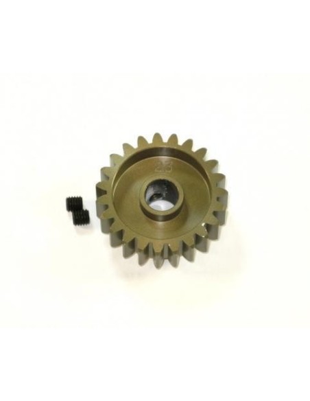 ERGAL PINION Z23