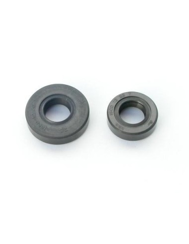 COMPLETE STD SEAL SET RC230 (2U)