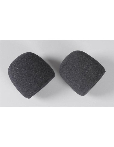 FOAM FILTER (2U)