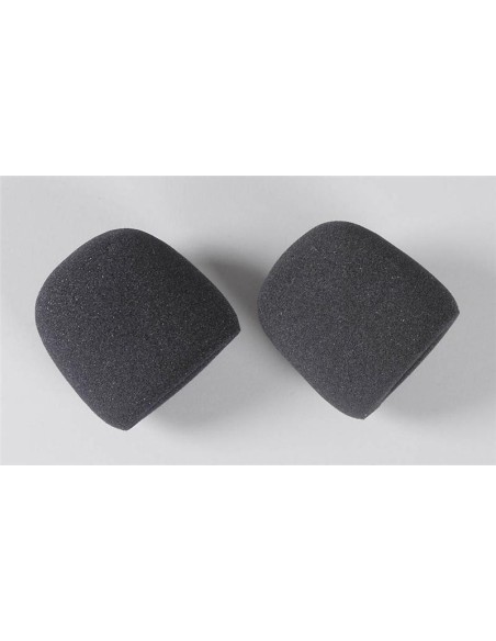 FOAM FILTER (2U)