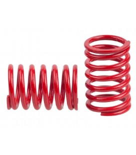 REAR DAMPER SPRING RED 2MM MRX5 