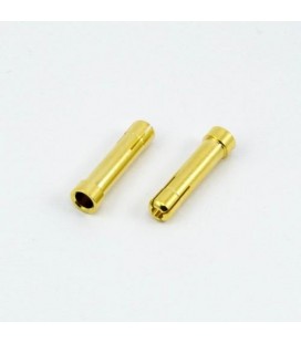 BULLET 4.0MM MALE TO 5.0MM FEMALE (2U)