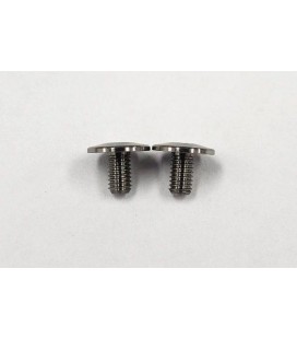 REVE D CUT TITANIUM WING SCREW (2 pcs)