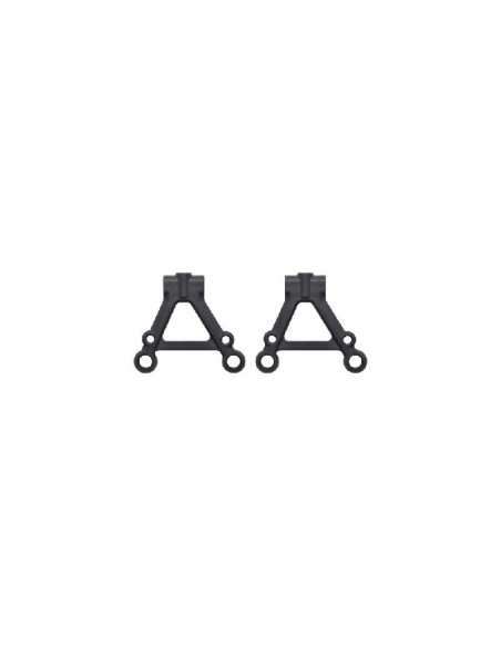 WISHBONE LOWER FRONT/REAR X20M (2U)