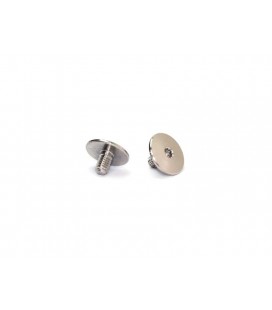 SMJ TITANIUM WING BUTTON SCREW (2U)