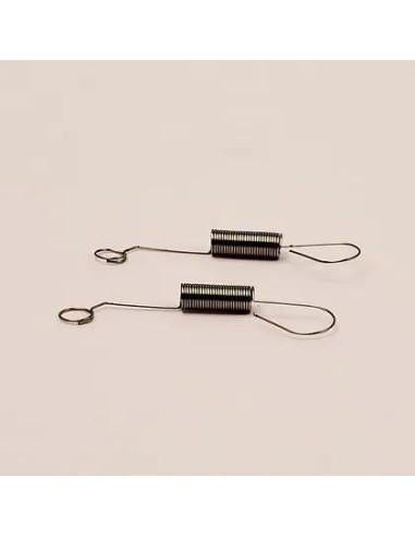 ONG CARBURETTOR RETURN SPRING (2 pcs)