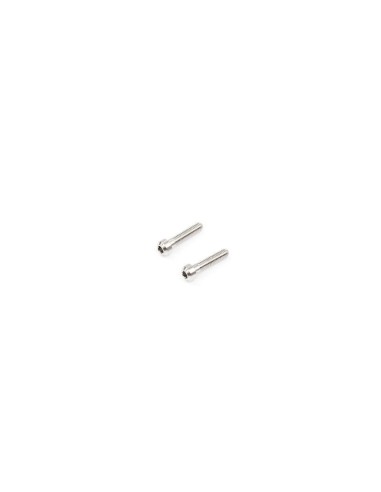TITANIUM 2-SPEED SCREW (2 pcs)