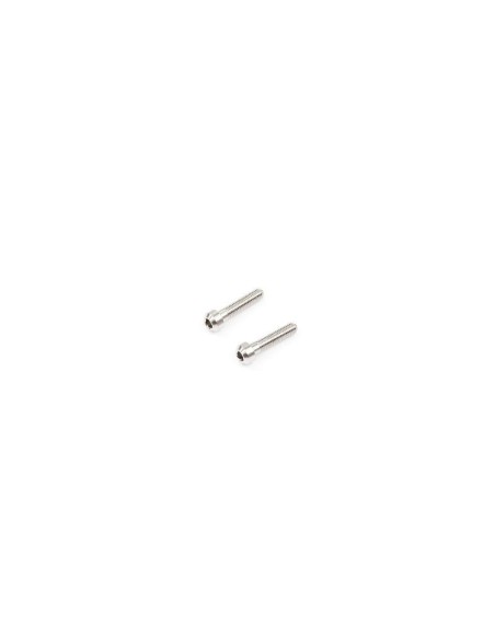 TITANIUM 2-SPEED SCREW (2 pcs)