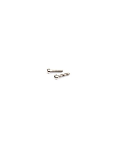 TITANIUM 2-SPEED SCREW (2 pcs)
