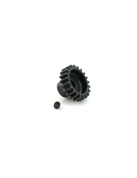XTR PINION 1M 19T