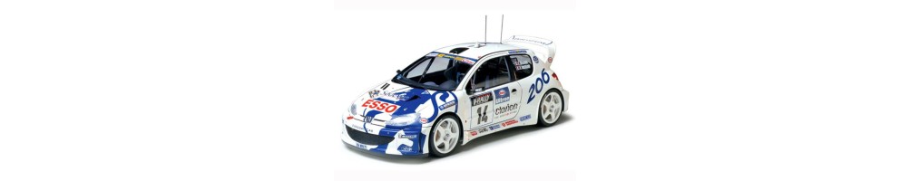 RALLY
